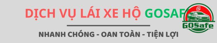Dich-vu-lai-xe-ho-10101